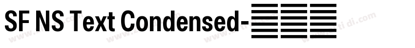 SF NS Text Condensed字体转换